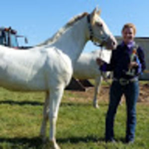 Meet your Posher, Sheridan